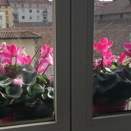 Vivi Garibaldi *